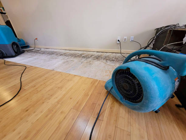 Professional Basement Flood Cleanup technician working in Montague, MI